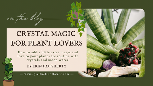Crystal Magic for Plant Lovers